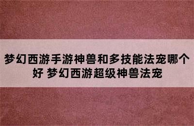 梦幻西游手游神兽和多技能法宠哪个好 梦幻西游超级神兽法宠